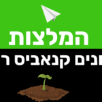 קנאביס רפואי