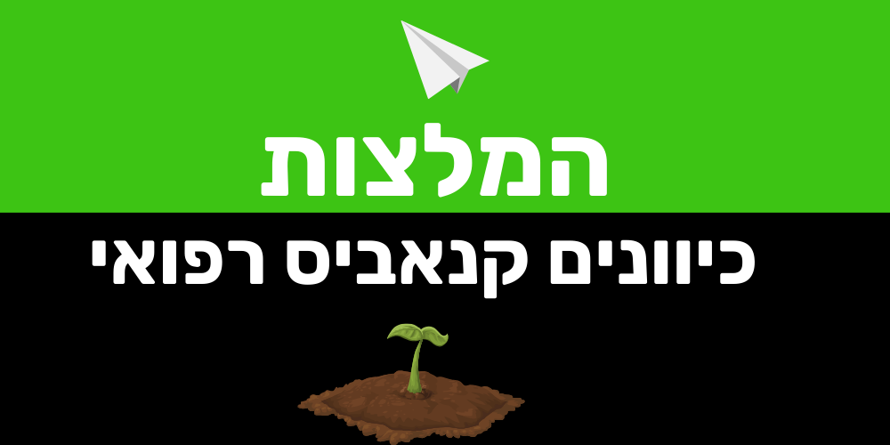 קנאביס רפואי